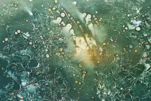 Máriási Masznyik Iván (1928-1997): A tenger mélységeiben. Olaj, farost, jelezve balra lent, hátoldal...