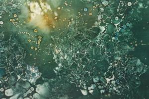 Máriási Masznyik Iván (1928-1997): A tenger mélységeiben. Olaj, farost, jelezve balra lent, hátoldal...