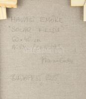 Havasi Emőke (1965-): "Solar fields", 2025. Akril, vászon, jelzett a hátoldalán, 60×40 cm