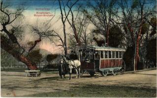 Budapest XIII. Margitsziget, lóvasút
