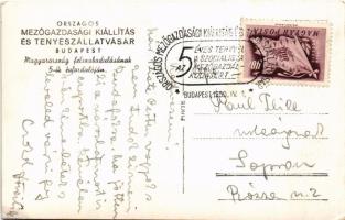 1950 Budapest, Országos Mezőgazdasági Kiállítás és Tenyészállatvásár Budapest. Magyarország felszaba...