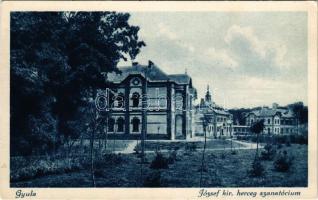 Gyula, József kir. herceg szanatórium látképe és saját kiadása (fa)
