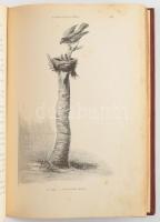 Hermann Ottó: Az északi madárhegyek tájáról. Bp., 1893., Kir. M. Természettudományi Társulat, VIII+5...