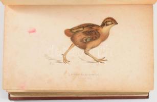 Hermann Ottó: Az északi madárhegyek tájáról. Bp., 1893., Kir. M. Természettudományi Társulat, VIII+5...