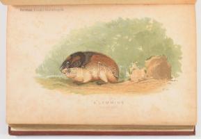 Hermann Ottó: Az északi madárhegyek tájáról. Bp., 1893., Kir. M. Természettudományi Társulat, VIII+5...