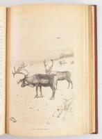Hermann Ottó: Az északi madárhegyek tájáról. Bp., 1893., Kir. M. Természettudományi Társulat, VIII+5...
