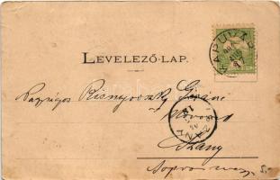 1904 Kapuvár, M. kir. állami polgári iskola. Buxbaum H. kiadása (EM)