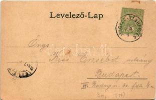 1907 Magyarbánhegyes, Magyar-Bánhegyes; Római katolikus templom, iskola, községháza, Fogyasztási szö...