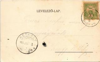 1904 Mezőörs, Mező-Örs; Végh lak, Református templom, Római katolikus templom, Krausz Ferenc vendégl...