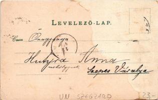 Szekszárd, Szegzárd; gimnázium, Garay tér, Törvényszék, Széchenyi utca. Báter János Art Nouveau, flo...