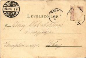 1899 Siófok, Központi szálloda, fürdőház, strand, fürdőzők, Sió és Hullám szálloda. Wlaszlovits Gusz...