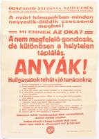 ca 1920-30 Országos Stefánia Szövetség ayák és csecsemők védelmére 3 db nyomtatvány + 1 db plakát 41...