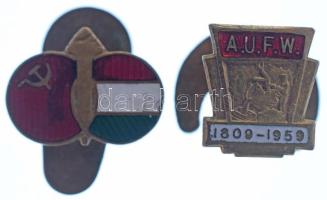 1950 k. "Szovjet-Magyar Baráti Társaság" zománcozott bronz gomblyukjelvény (16x13mm) + Nag...