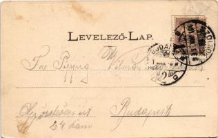 1901 Szolnok, Fodor D. Nemzeti szálloda, étterem és kávéház, belső biliárdasztallal. SZigeti H. fény...