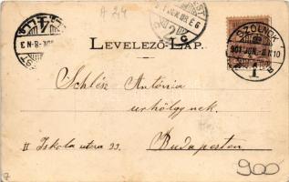 1901 Szolnok, Steiner Jakab fiai divatáruháza, piac, üzletek, pályaudvar, vasútállomás. Szigeti H. u...