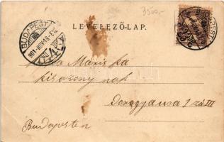 1901 Budapest III. Rómaifürdő, Római fürdő vendéglő, étterem. Divald Károly műintézetéből (fl)