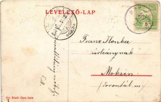 1907 Szatymaz, Dr. Kern nyaraló, Endrényi Imre nyaraló, Vas Károly nyaraló, Prokisch nyaraló, villák...