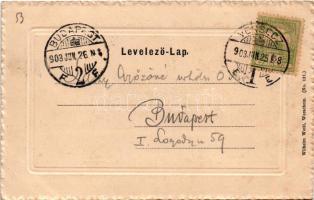 1903 Versec, Werschetz, Vrsac; várrom. Wilhelm Wettl / Schlossruine / castle ruins (EK)