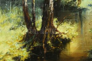 Olvashatatlan jelzéssel, feltehetően orosz festő:, XX. sz. vége. Erdőbelső, 1994. Olaj, vászon, 46×3...