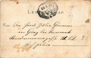 1905 Nagymaros és Visegrád látképe. Zoller József kiadása (Rb)