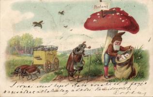 Mushroom Post Office with May bugs and Dwarf litho