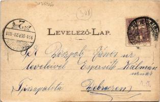 1901 Kiskunfélegyháza, látkép, város részlet a Kossuth utcával, szélmalom, üzletek. Vesszősi József ...