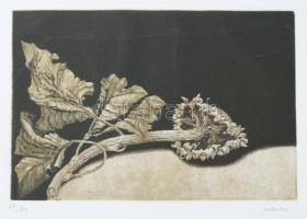 Bruno Missieri (1942-): Napraforgó, 1925. Akvatinta, papír, jelzett, számozott (69/80), üvegezett fakeretben, 13,5×20,5 cm