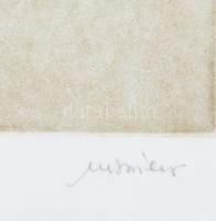 Bruno Missieri (1942-): Napraforgó, 1925. Akvatinta, papír, jelzett, számozott (69/80), üvegezett fa...