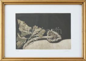 Bruno Missieri (1942-): Napraforgó, 1925. Akvatinta, papír, jelzett, számozott (69/80), üvegezett fa...