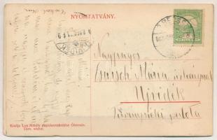 1908 Óbecse, Stari Becej; Báró Jovits-féle alapítványi palota, Róth Manó és Fia üzlete. leporellólap...