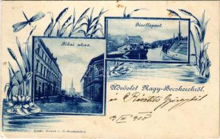 1900 Nagybecskerek, Zrenjanin, Veliki Beckerek; Jókai utca, Gizella-part. Gresits J. kiadása, szeces...