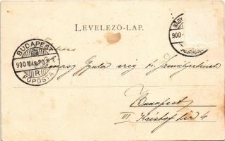 1900 Nagybecskerek, Zrenjanin, Veliki Beckerek; Jókai utca, Gizella-part. Gresits J. kiadása, szeces...