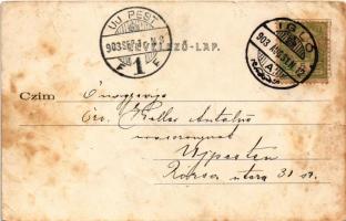 1903 Igló, Zipser Neudorf, Spisská Nová Ves; Szepes vármegyei női kéziipar kiállítás Iglón 1903-ban,...