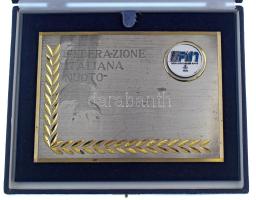 Olaszország DN "Federazione Italiana Nuoto" (Olasz Úszószövetség) egyoldalas, részben fest...