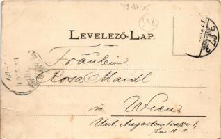 Budapest XII. Székesfővárosi Szent János kórház látképe madártávlatból. Novák és Falusy papírkereske...