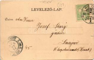 1905 Pécs, Schlauch-villatelep. Fürst Lipót kiadása (szakadások / tears)