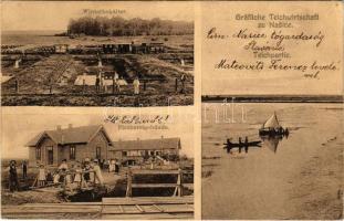 1910 Nekcse, Nasice; Gróf Pejacsevich-féle tógazdaság, téli tároló tartályok, iparvasút, vonat, gőzm...