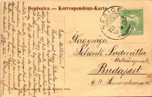 1910 Nekcse, Nasice; Gróf Pejacsevich-féle tógazdaság, téli tároló tartályok, iparvasút, vonat, gőzm...