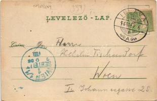 1906 Illava, Illau, Ilava; látkép. F. Simicsek kiadása / view (EK)