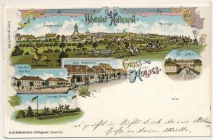 1905 Holics, Holic; Szarvasvadászat, Régi piac, Lóverseny, Fő utca, vár, Malovány üzlete / deer hunt...