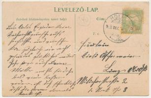 1905 Holics, Holic; Szarvasvadászat, Régi piac, Lóverseny, Fő utca, vár, Malovány üzlete / deer hunt...