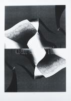 Bitó Ildikó (1966-): Közel I., 2001. Szitanyomat, papír, jelzett, művészpéldány E.A. I/XI számozással. Papírra kasírozva. 42×29,5 cm