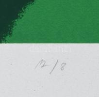 Májer Viktória (-): Fény, 2023. Szitanyomat, papír, jelzett, számozott (12/8). 60×40 cm