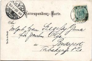 1901 Loucky, Wiese (Zátor, Seifersdorf); Tuchfabrik, Gasthaus zur Freiheit / cloth factory, hotel an...