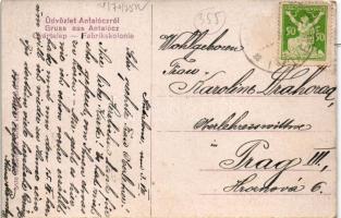 Antalóc, Antalovci, Antalovtsi (Ung); Gyártelep. Niedermann Miksa kiadása / Fabrikskolonie / factory...