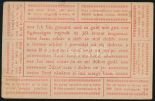1917 Tábori posta levelezőlap / Field postcard "M. kir. budapesti 30. népf. gy. ezred" + &...