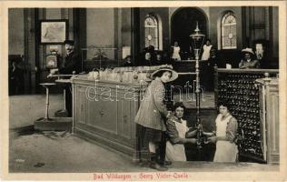 Bad Wildungen, Georg Viktor-Quelle / spa, mineral water spring