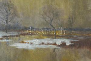 Bánsághi Vince (1881-1960): Atmoszférikus táj. Olaj, vászon, jelzett. Restaurált. Apró felületi sérü...