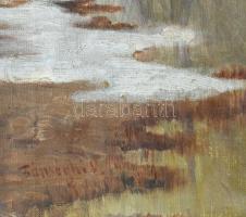 Bánsághi Vince (1881-1960): Atmoszférikus táj. Olaj, vászon, jelzett. Restaurált. Apró felületi sérü...