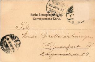 1907 Drohobych, Drohobycz, Drohobics (Galicia, Galizien); Hotel de l'Europe, restaurant interio...